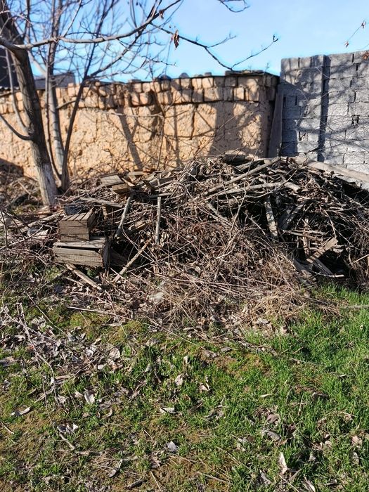 Òtin sotiladi suratdagi hamasi