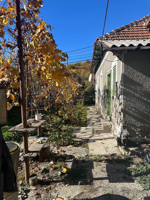 Casă bătrânească + casă nouă la roșu, teren 6.900 mp – Cotmeana, Argeș