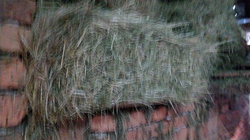 Vând baloti de fan transport la domiciliu