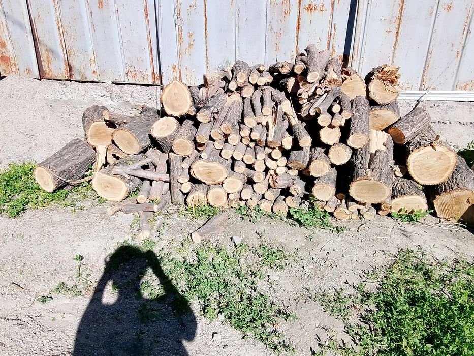 Продам дрова ,карагач