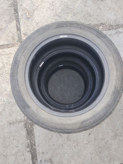 195 55 р16 летние