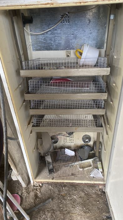 Инкубатор балапан шыгаратын