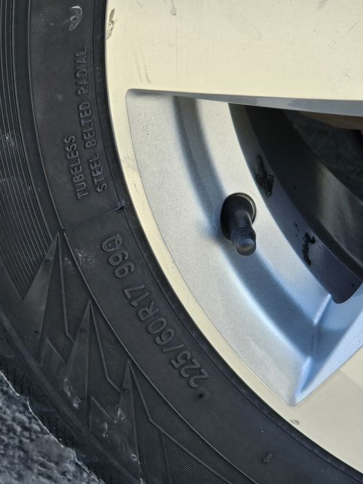 Malibu 1 diska bolon