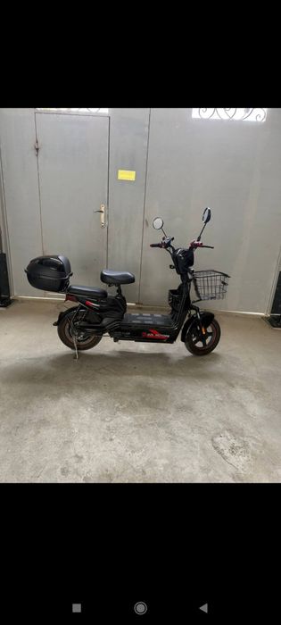 14 choʻntak modeli