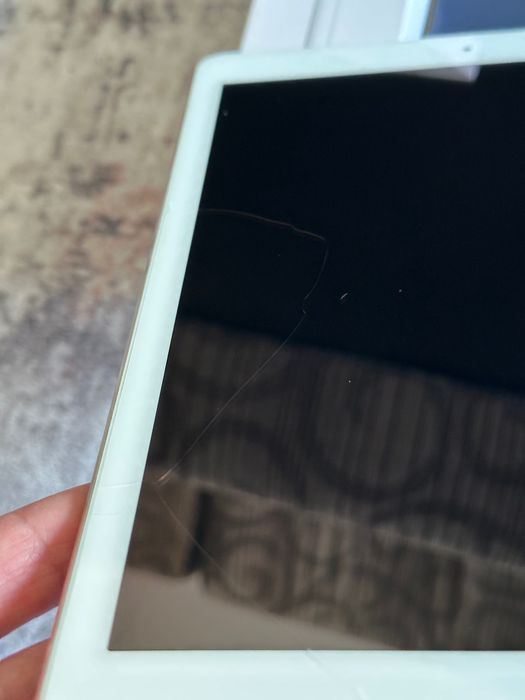 iPad Pro 9.7 256 GB LTE