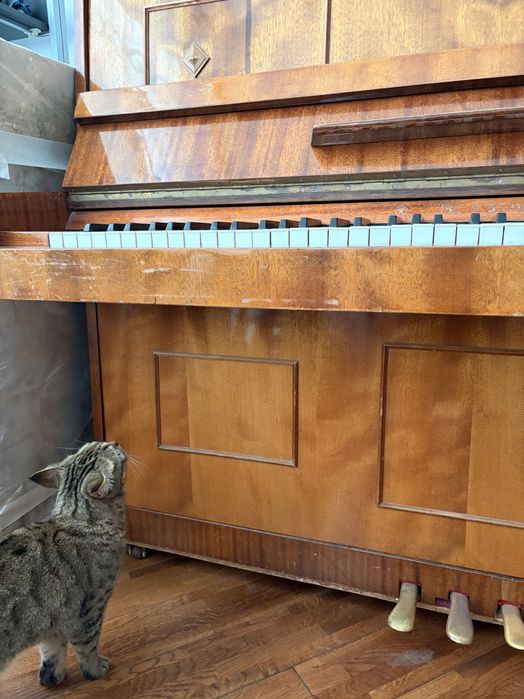 Фортепиано Беларусь