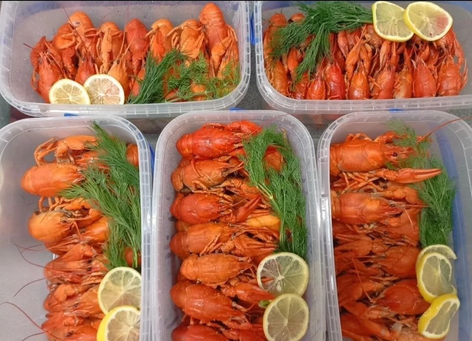 Живые речные раки