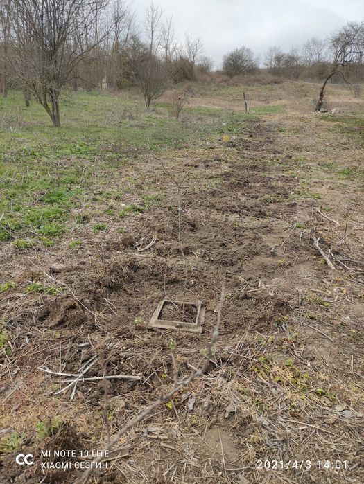 Продава се Парцел в с. Лозница, Област Добрич - 10000 кв.м за 2 €/кв.м - Снимка #5