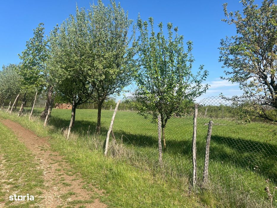 Teren cu vedere panoramica Str. Iris Alba Iulia