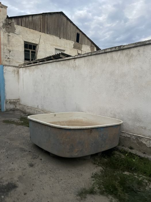 Baliq Vanna sotiladi  2dona