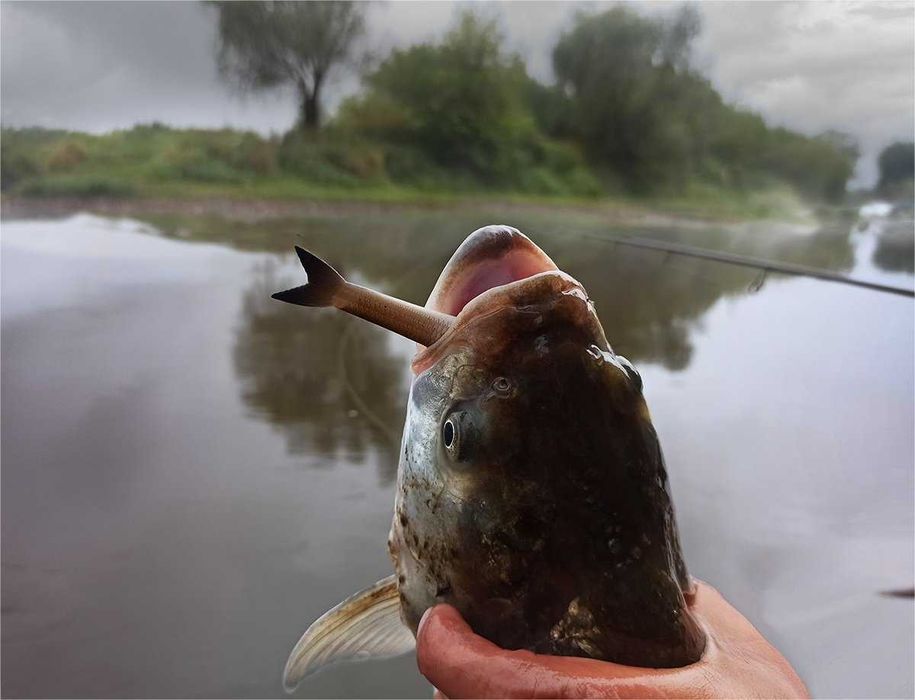 Voblere RH Lure 8/10/12 cm Polonia - pescuit avat, salau, stiuca, somn