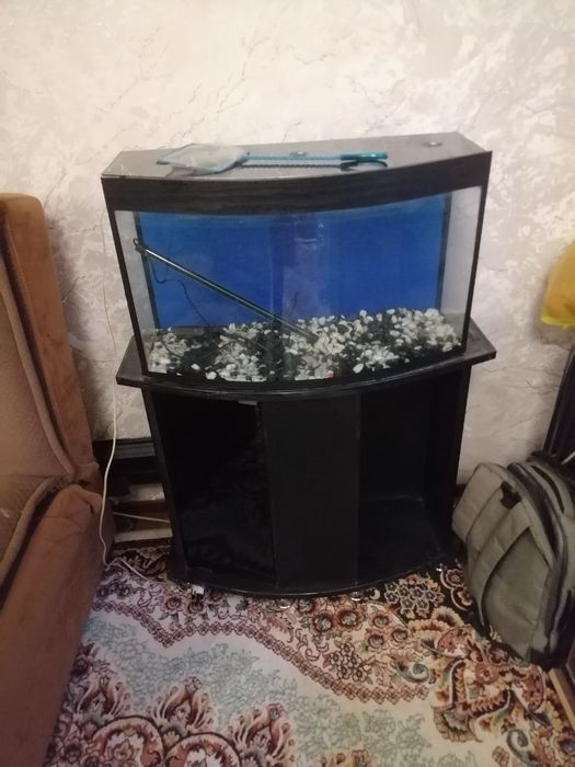 Аквариум 60 литров