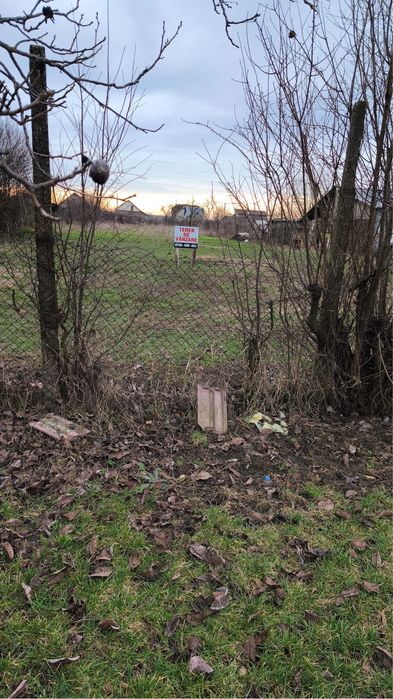 Teren 1533 mp Peciu Nou/Dinias