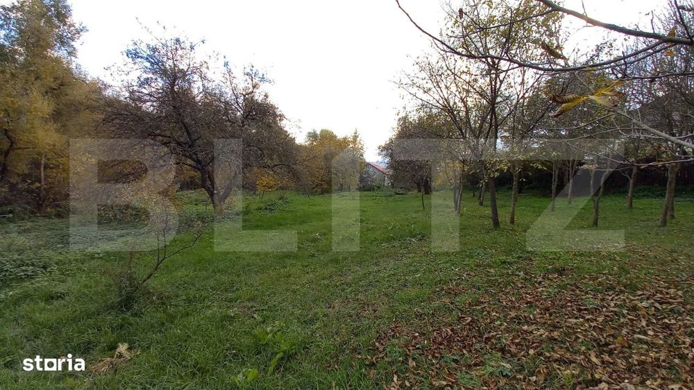 Investitie! Teren intravilan construibil 1651 mp, 25 m front, Filea-Ci