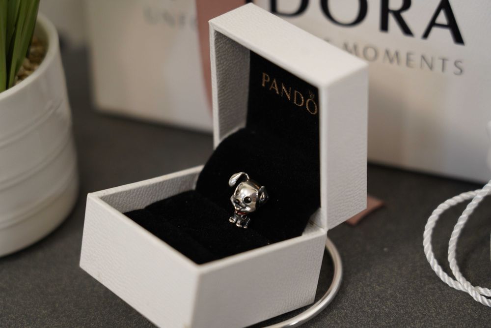 Талисман Пандора - Кученце