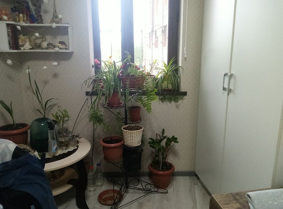 Продаю 1 комн. квартиру. Паркенский.