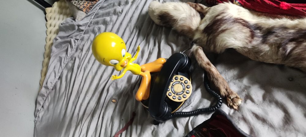 Антикварни неща имат и монети