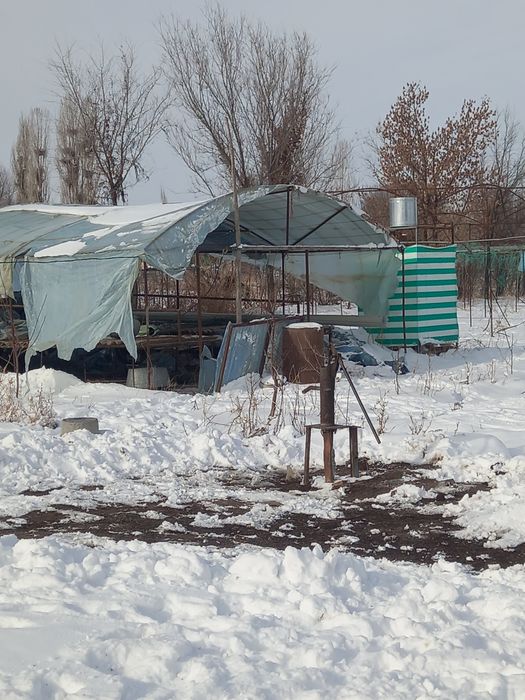 Теплица сатылады