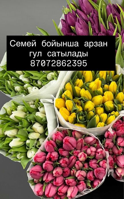 Тюьлпан сатылады гулдер