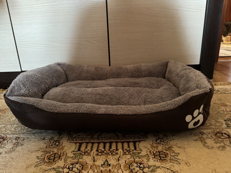 набор для собаки