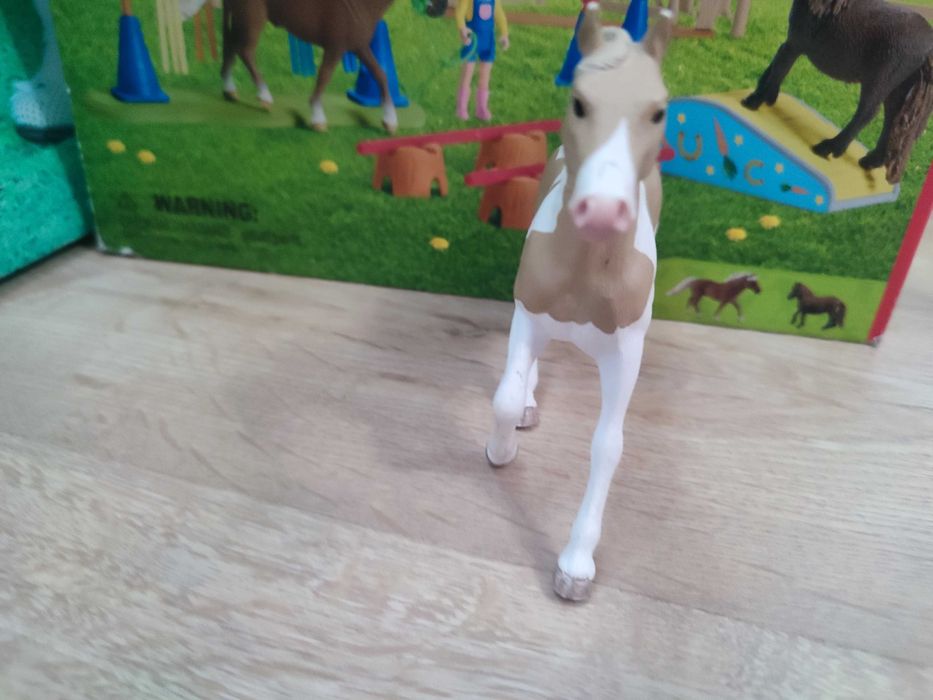 Cai schleich foarte bine îngrijit