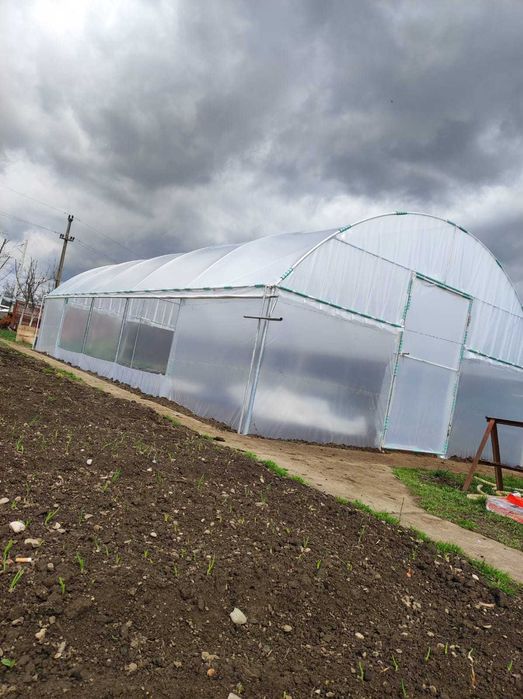 Solari Legume aerisire pe lateral