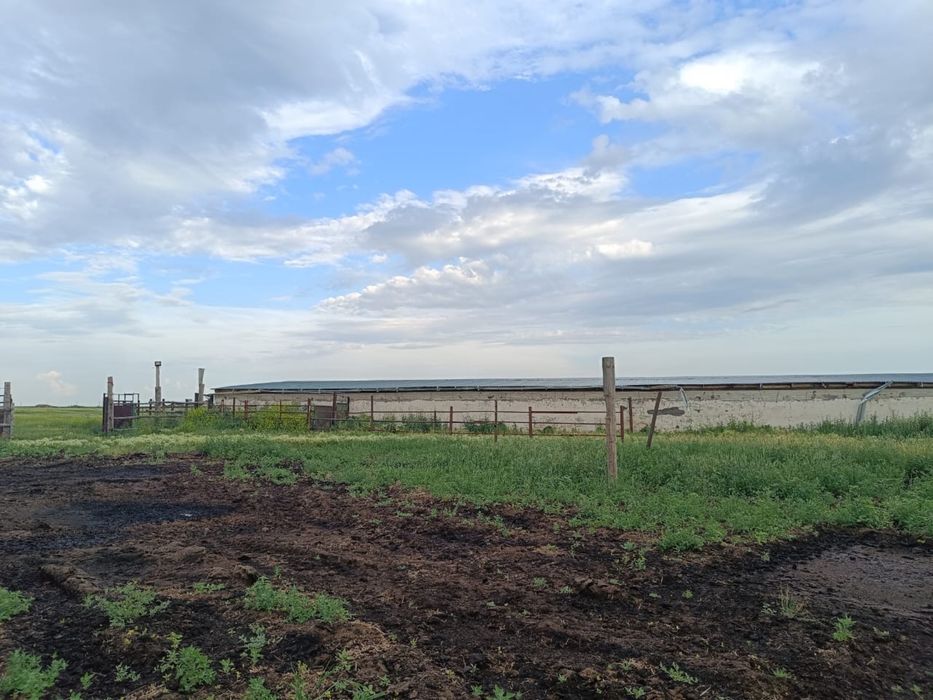 Продам животноводческое хозяйство