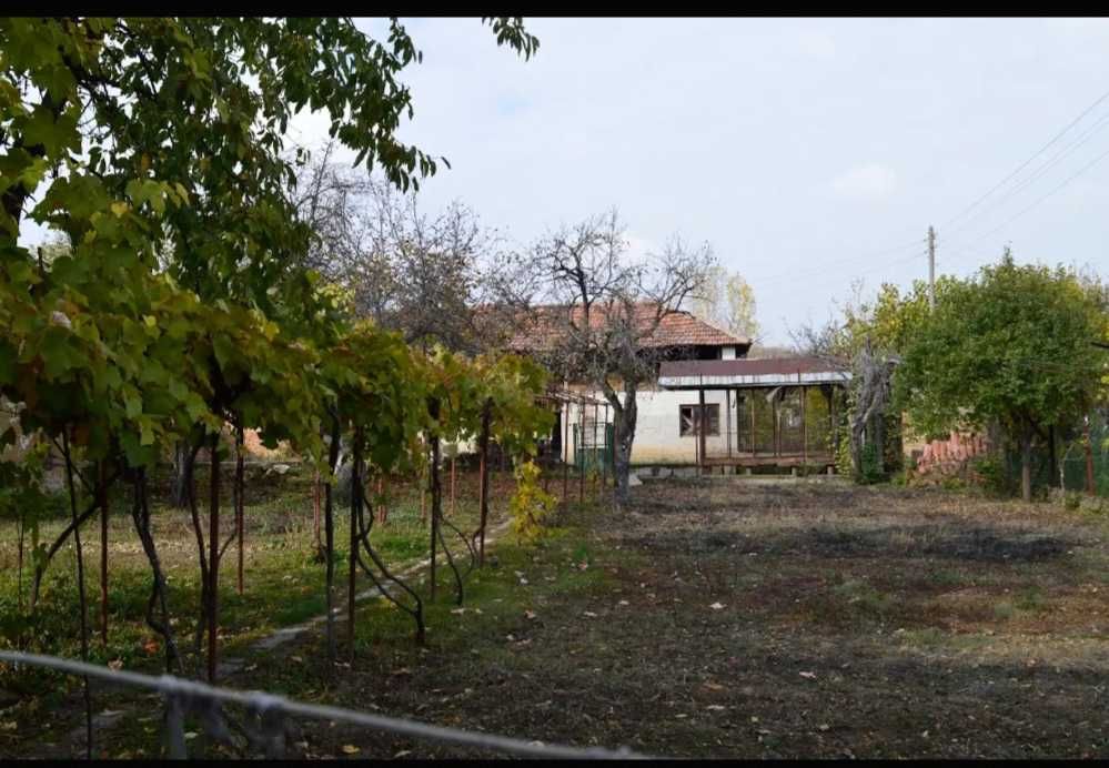 Вила под Наем Видин