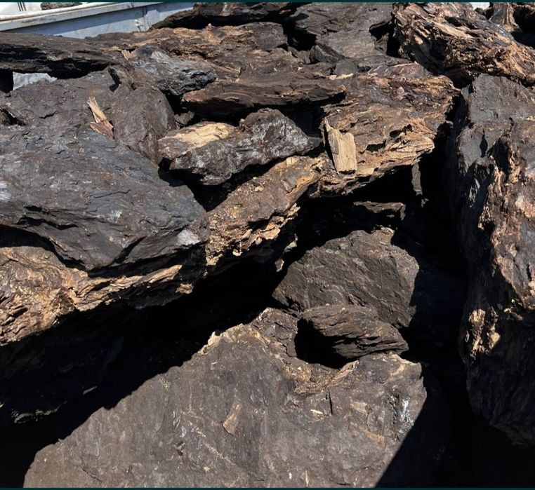 Cărbuni Berbești Vâlcea