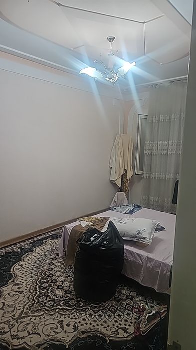 Ibin sino 1 arendaga beriladi