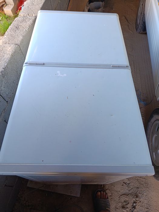 Marazzelka muzlatkich