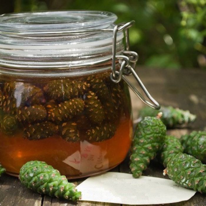 Шишечное варенье.