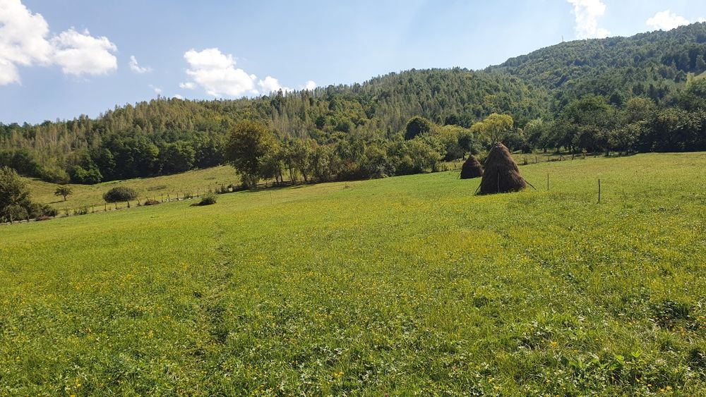 Vand teren intabulat  la munte