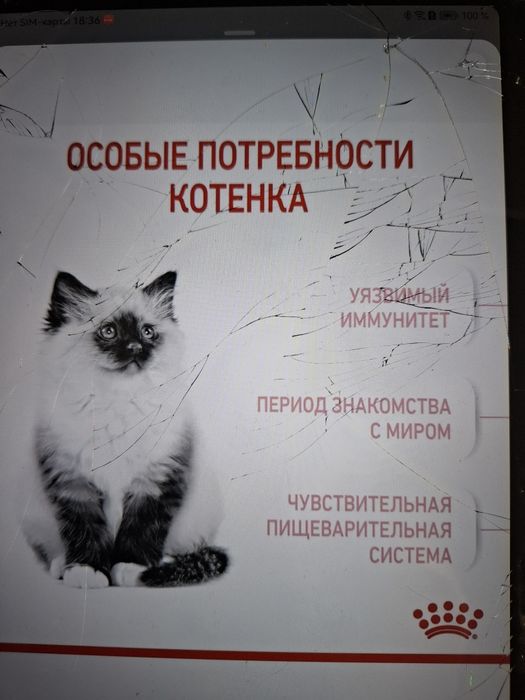 Продаю корм для котят