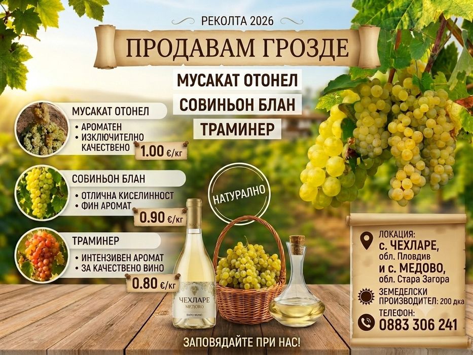 Грозде Мускат отнел 2026, Совиньон Блан, Траминер, Каберне Совиньон