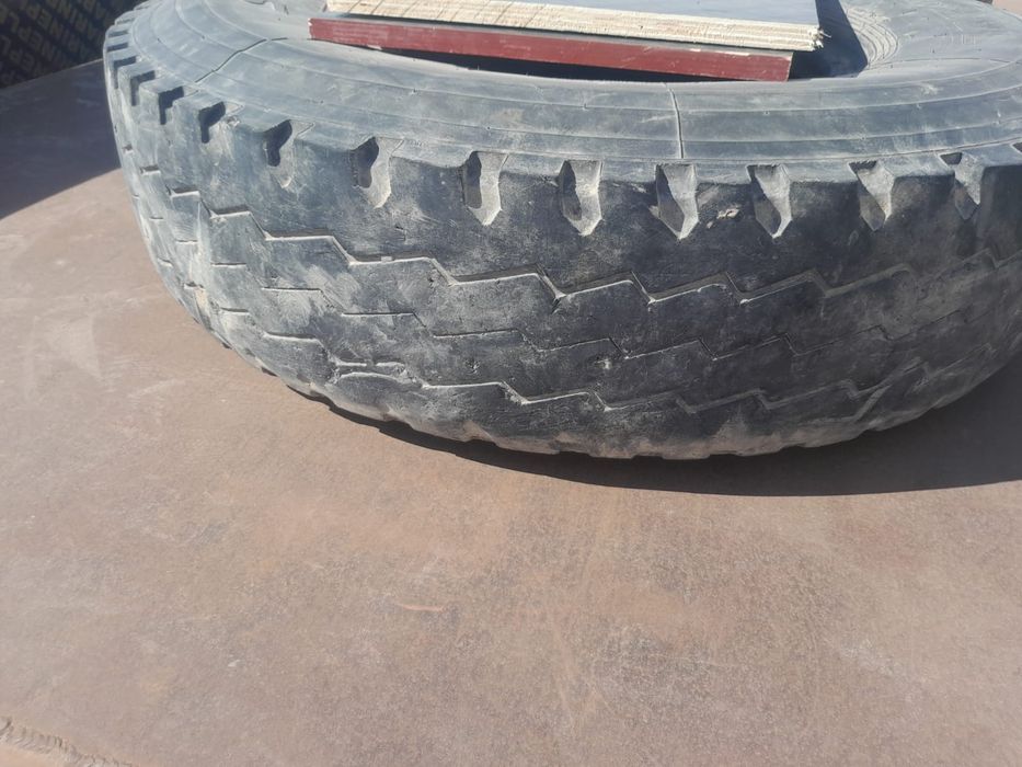 Продам.      шина