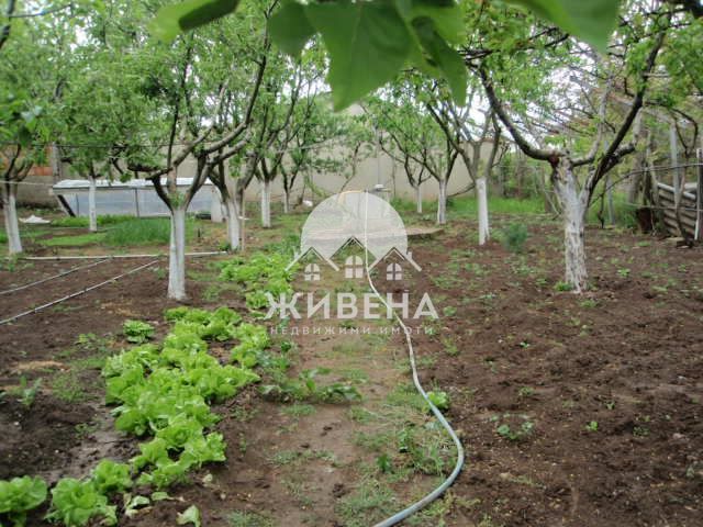 Продавам къща с РЗП: 285 кв.м, двор 1200 кв.м, с. Бенковски