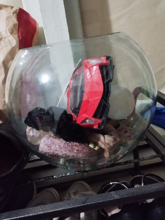 Akvarum shisha idishli