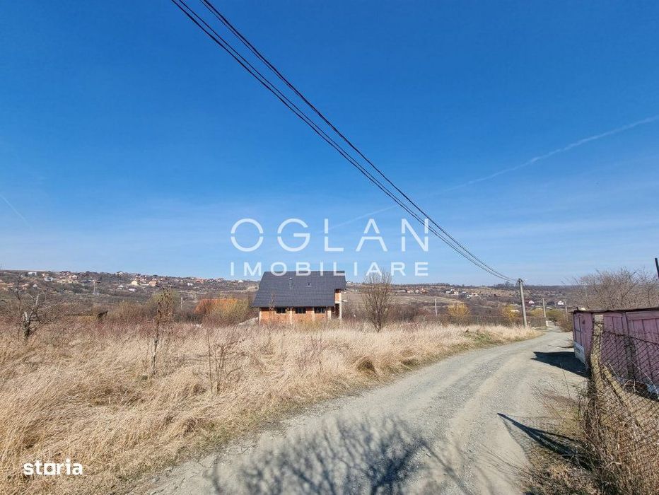 Oportunitate! Teren 8000 mp,parcelat ,cu PUZ ,Daia Noua, acces Dj 106