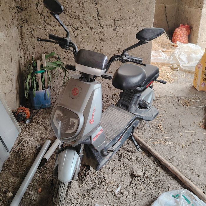 Sukutir arzon narxda