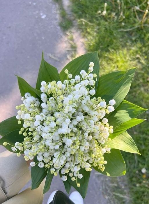 Продам букет ландышей
