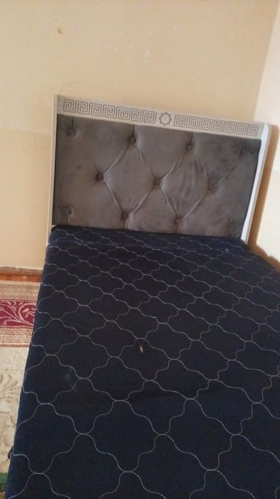 Sheriklikka turadigan qizlar yoki oila kerak ila kerak