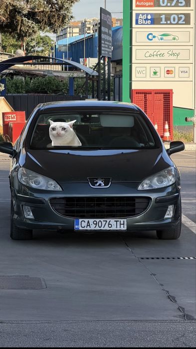 Peugeot 407 2.0HDI