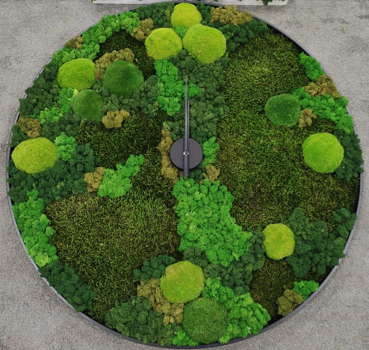 Дълъг декоративен плосък стабилизиран скандинавски естествен мъх