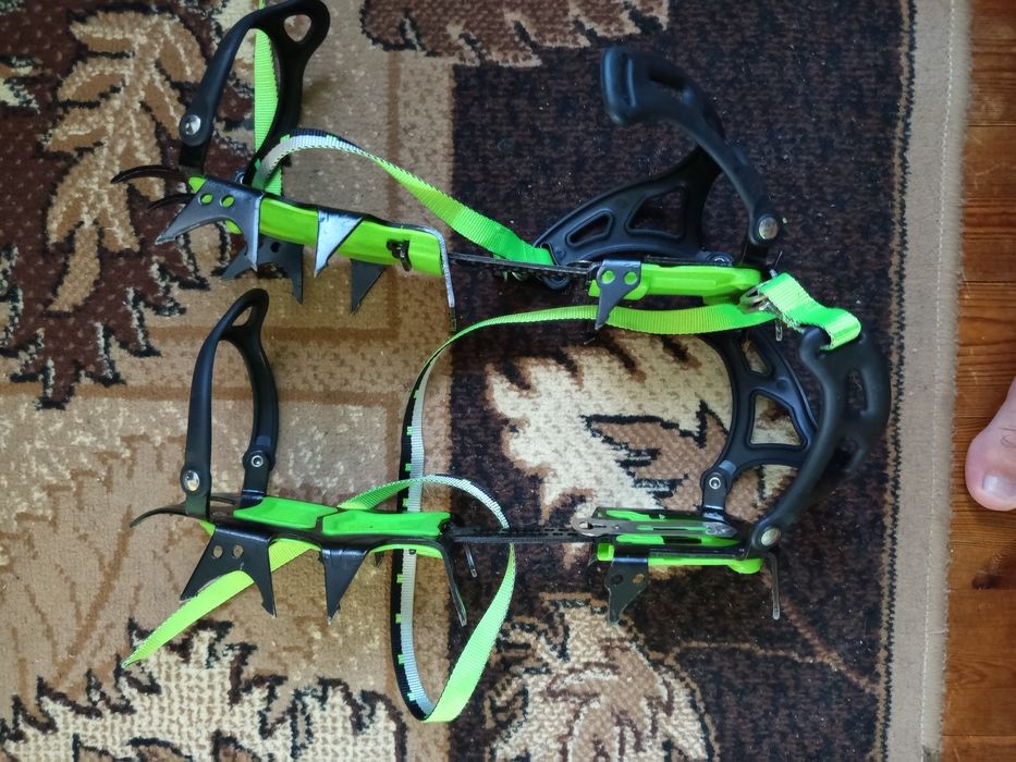 Туристически котки