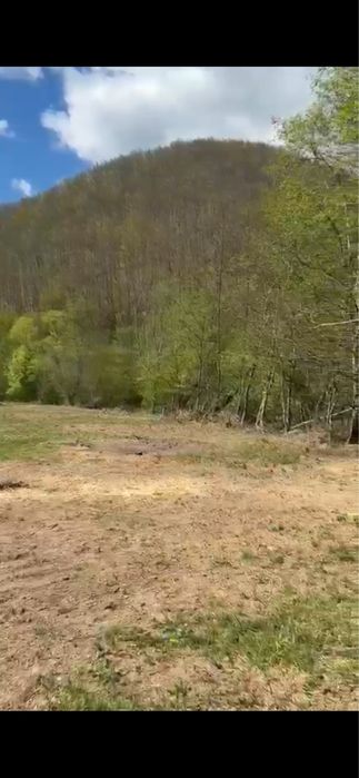 Vand parcele Valea Ierii Frasinet