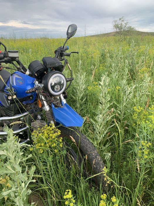 Пралам альфу 110