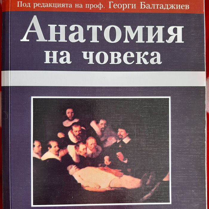 Книги: медицина,акушерство,гинекология,кинезитерапия,ерготерапия,масаж