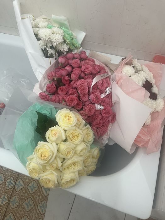 Продам цветы срочна бугинги