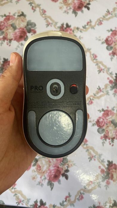 Мышка новый